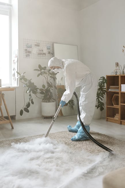 A professional cleaner from Wandsworth Carpet Cleaning engaged in deep surface cleaning of a beige carpet in a well-lit, modern living room. The cleaner is dressed in a full white protective suit, gloves, a face mask, and blue shoe covers, using a vacuum or extraction tool connected to a hose for thorough sanitisation. The room features white walls, wooden furniture, including a small bookshelf and a desk with a chair, and is decorated with green potted plants near the window. Natural light floods the space, highlighting the cleanliness and freshness of the carpet, which is in the process of being lifted and cleaned. This scene emphasizes hygienic carpet maintenance and deep cleaning services offered by Wandsworth Carpet Cleaning near SW18, Wandsworth.